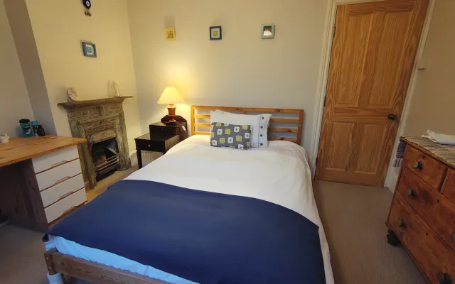 Bright spacious room in friendly period house with garden, in zone 2