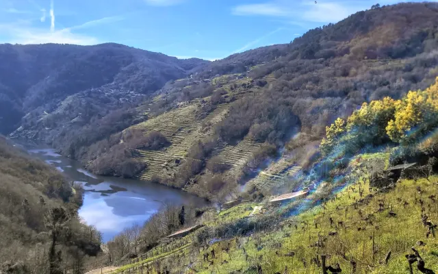 CABAÑA DO REI perder-se entre as vinhas em RIBEIRA SACRA