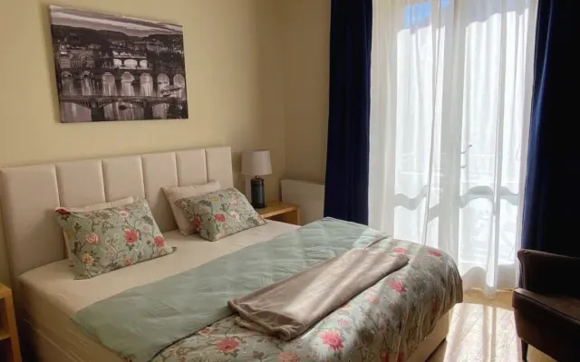 Bright apartment with balcony