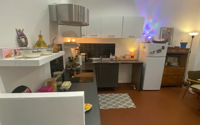 Stanza in centro città in grande appartamento / mani verdi benvenute