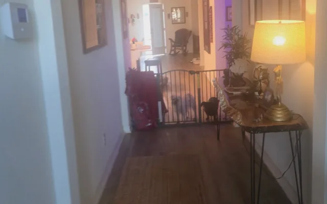 A minha casa é a sua casa!
