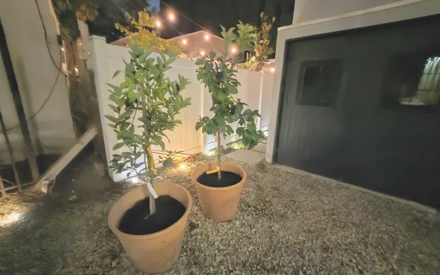 Privater Eingang Garten Studio, ruhig + zu Fuß zum Boulevard