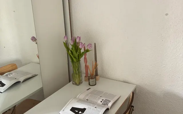 Habitación en Lavapies con terraza
