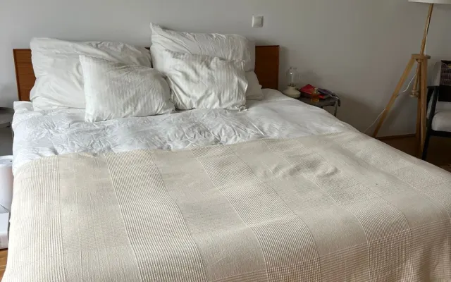 Geräumige Wohnung im Herzen des Wiener Schwulenviertels