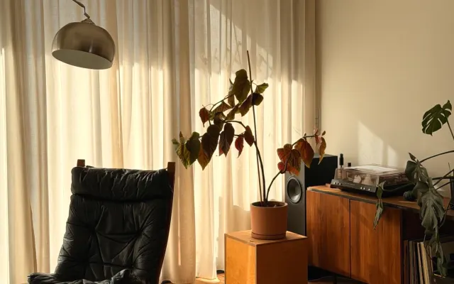 3 chambres Oasis à Kreuzberg/Neukölln