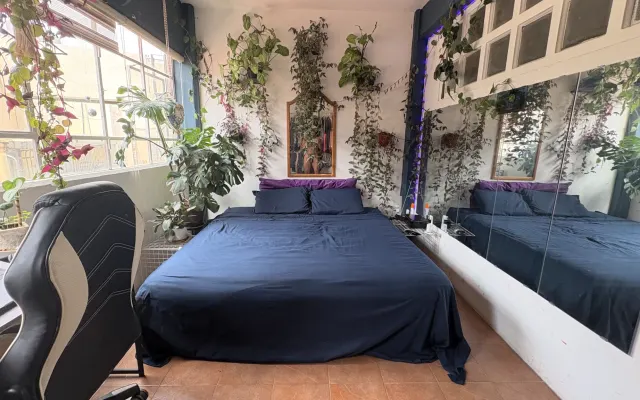 1 studio compartido. nudista. kinky. king bed. massage. sessions avail