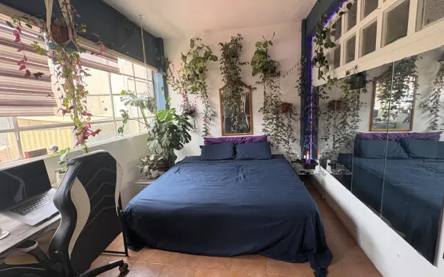 1 studio king bed. No sharing / estudio de 1 dormitorio sin compartir / 1...