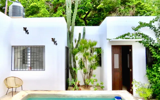 Mérida Centro - Affitto ammobiliato | Piscina - A piedi dappertutto!!!
