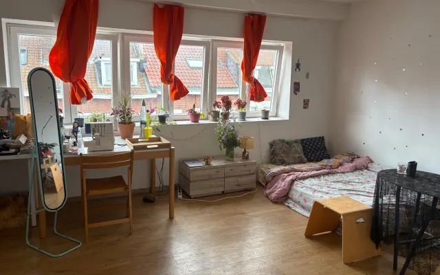 Spacious, quiet room in Anderlecht