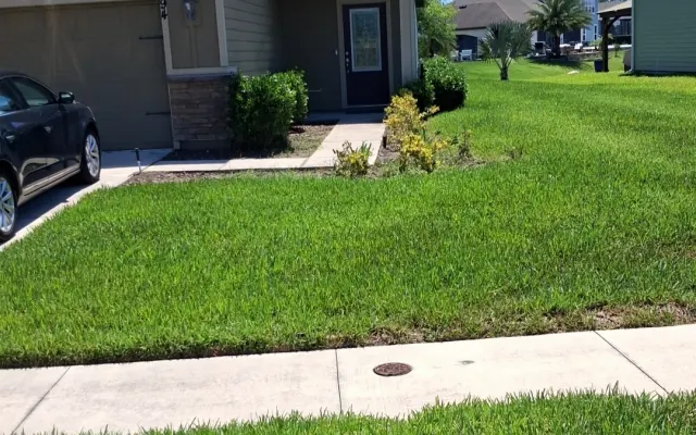 Felicidad suburbana