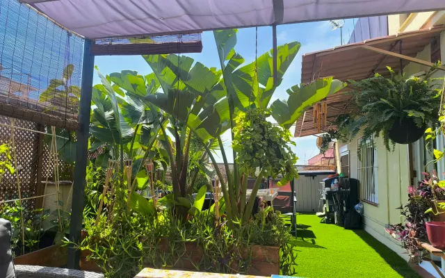 Apartamento de nudismo gay (opcional) com um terraço espetacular