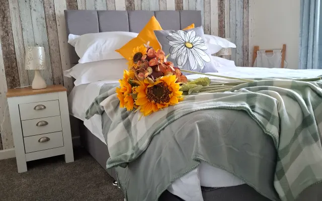 Cosy Room in a Warm Devon Family Home – Torquay