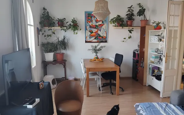 Beautiful apartment in the heart of Barcelona