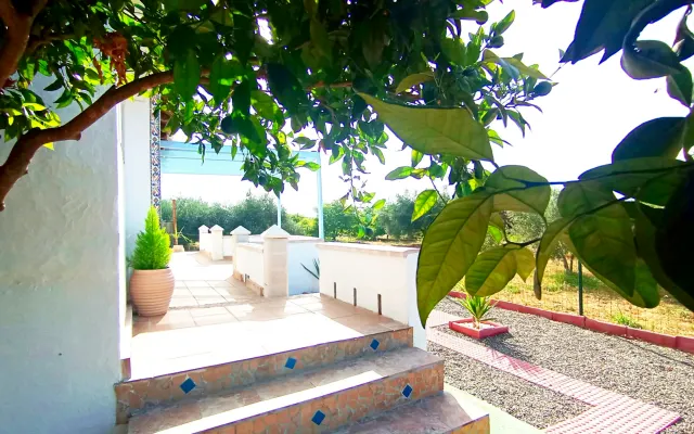 Finca el Aulagar 1