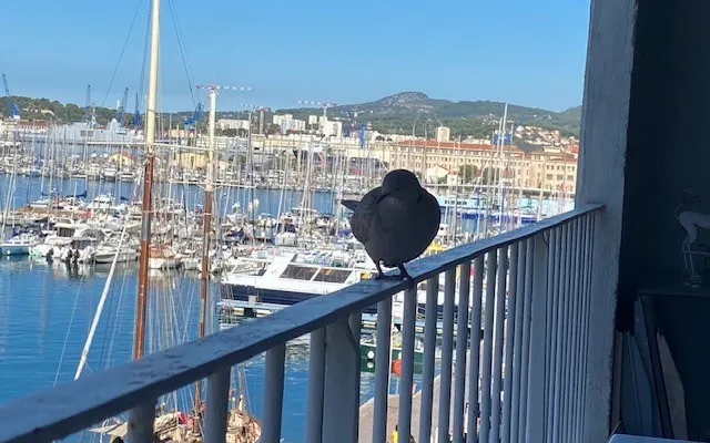 Eine sehr schöne und helle Wohnung am Hafen von Toulon
