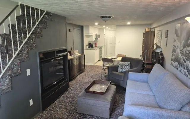 Beautiful daylight basement apartment