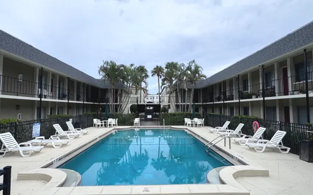 Quiet & Comfortable Room in the Heart of South Tampa – Hyde Park