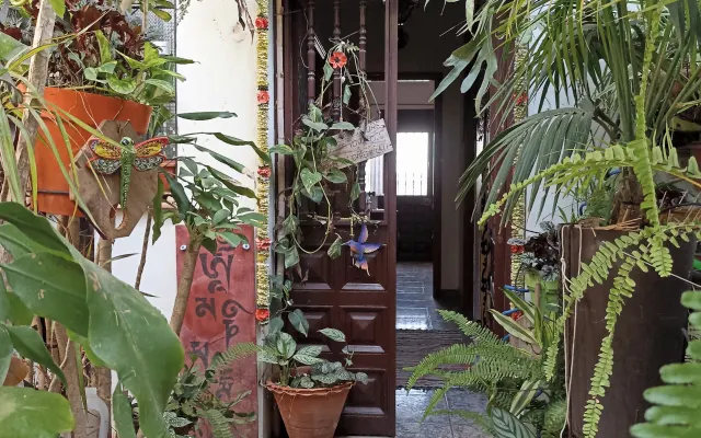 Alloggio insolito immerso in una giungla tropicale