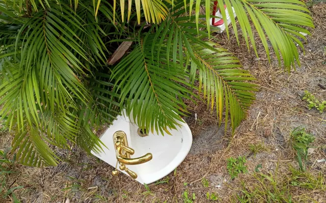 ABC. Almost Beach Cottage