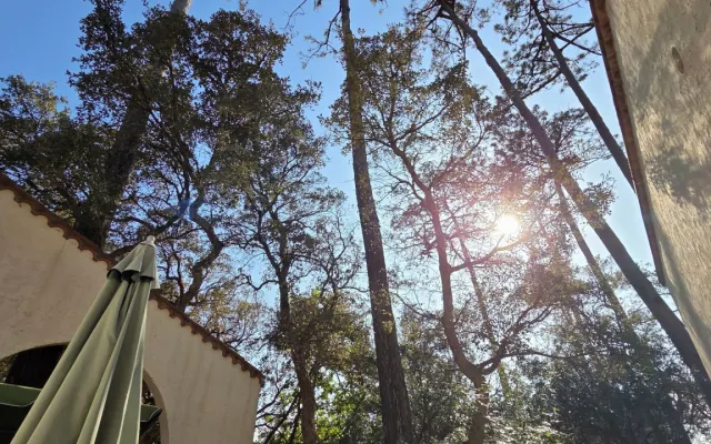 House under the pine trees, 15 minutes from the Casernes Gay Beach
