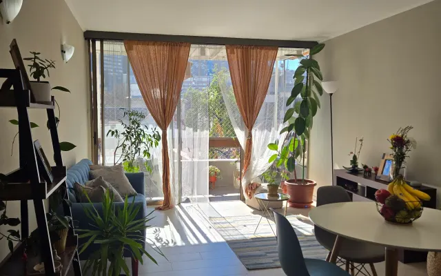 Cozy room in providencia