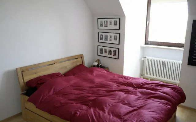 Cozy accommodation and a short distance to the city and local scene