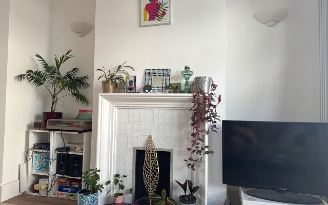 Bright cosy room in Brighton