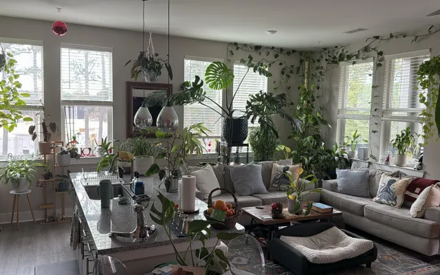 Superbe appartement rempli de plantes, à 20 minutes du centre-ville...