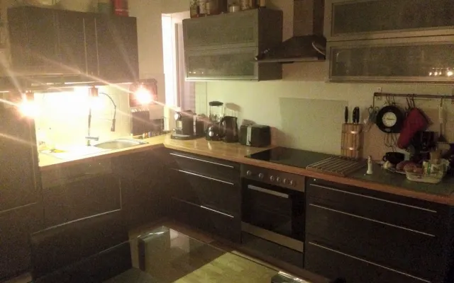 Shared room and apartment for (almost) sole use