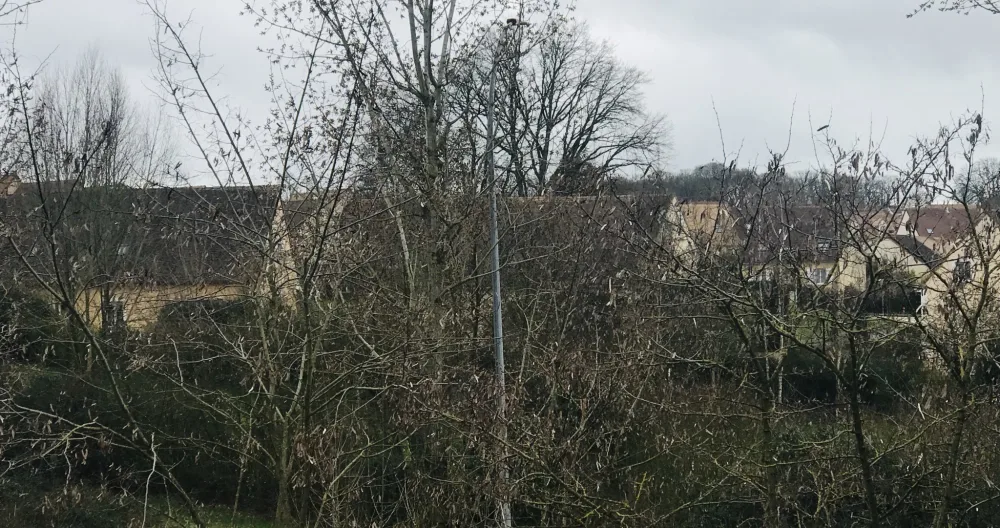 Zimmer verfügbar. - Foto 1