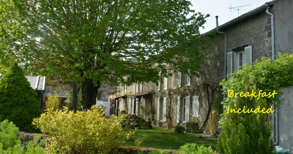 Les Noyers Aulnay - Forest room - Picture 1
