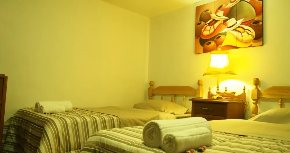 El Alamo Tayta Zimmer. - Foto 1