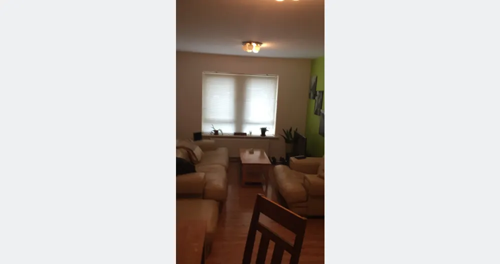 my gaff shared space.  - Picture 1