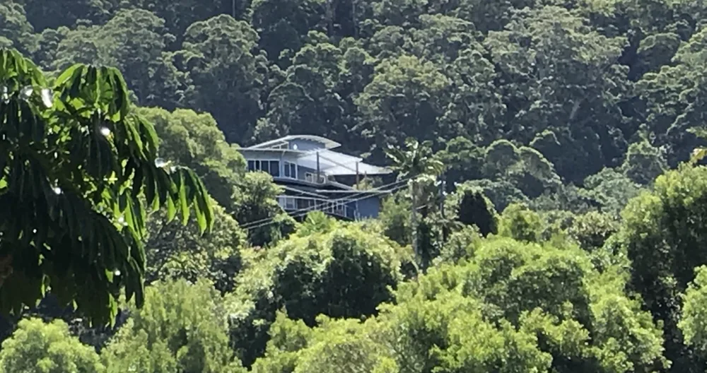 Blick auf Wald und Meer - Foto 1