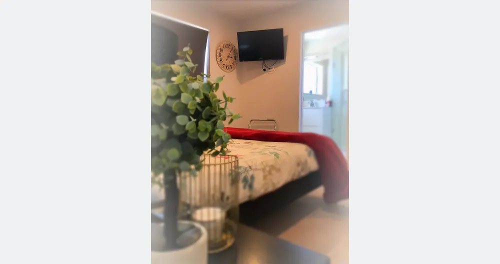 Camera Queen Chic - Aria condizionata - Bagno con pavimento riscaldato e accappatoio a muro - Foto 1