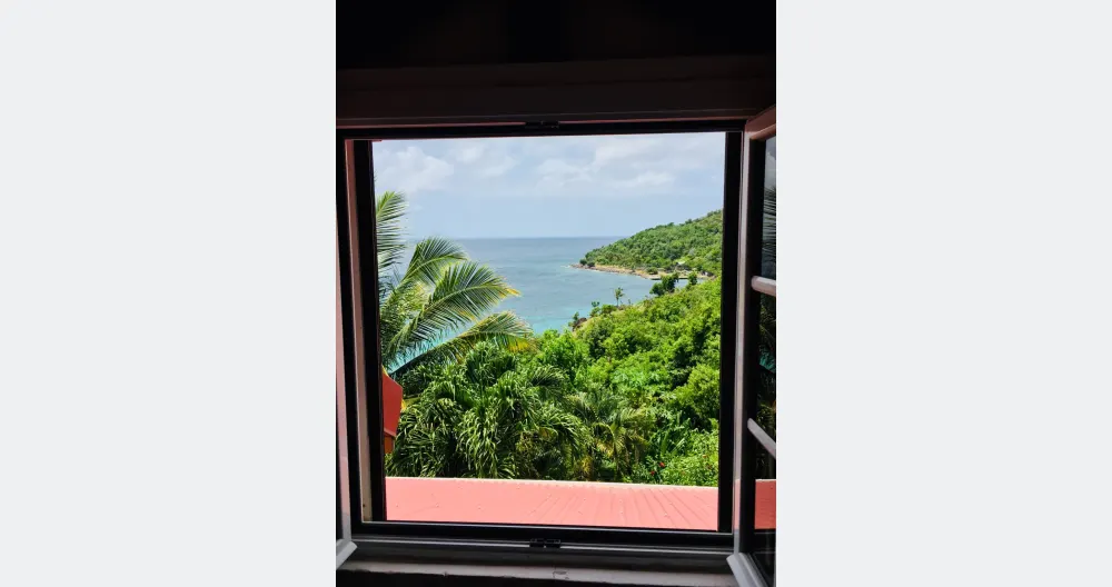 Grand Bay - Picture 1