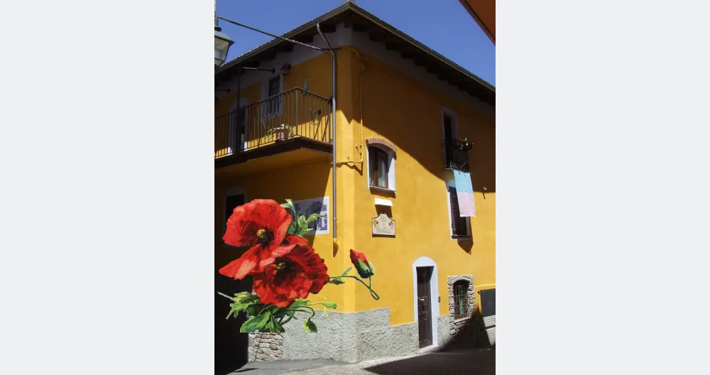 B&B Il Campo Dei Papaveri - 2 - Foto 1
