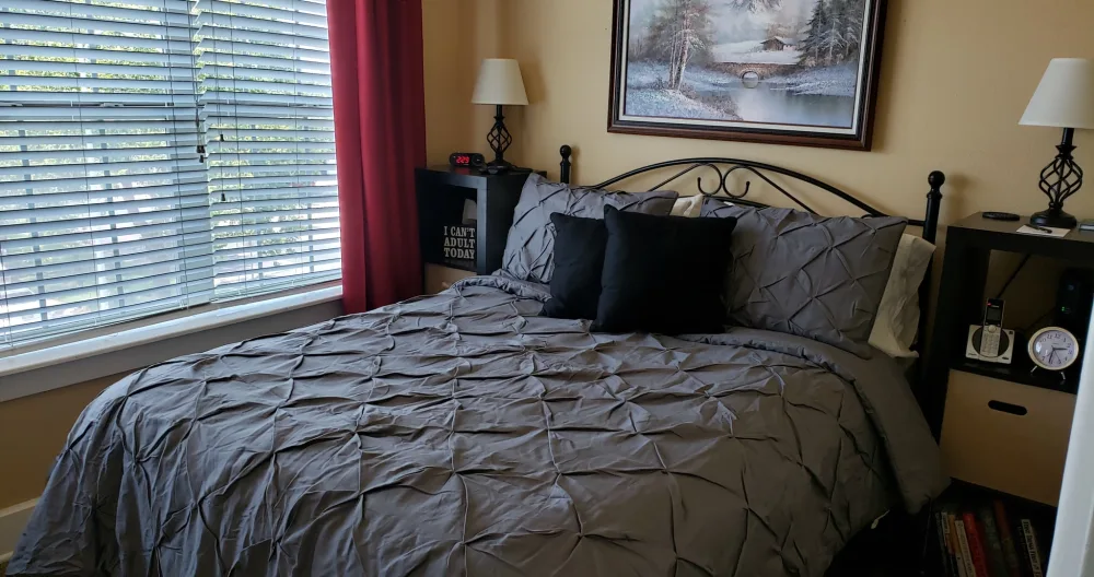 Historic Downtown Apartment - Guestroom - Picture 1
