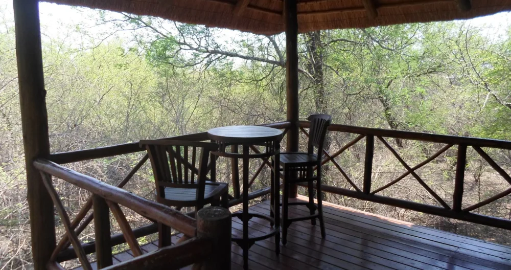 Bushbaby Haven - Picture 1