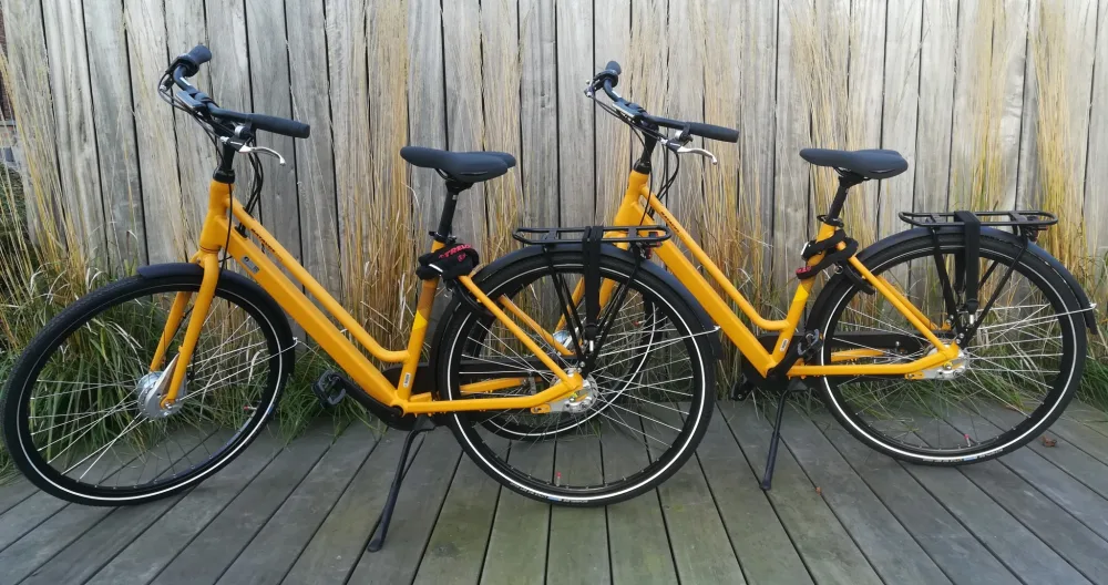 Bamboo room (+free bicycles to use) - Picture 1