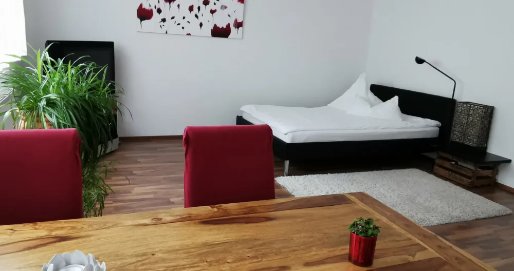 appartement confortable dans un endroit urbain - Photo 1