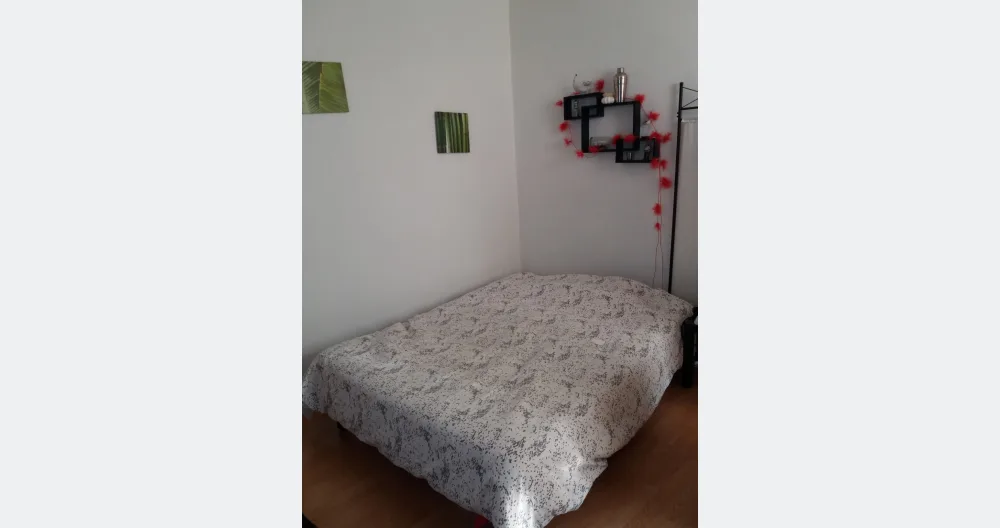 Pequeño estudio - Foto 1