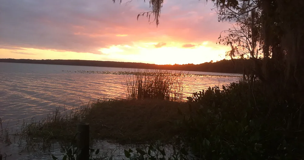 Greg's listing on misterb&b - Newnans Lake or Pithlochocco (Lake of the Longboats) Sunset. Enjoy the beauty of Florida!