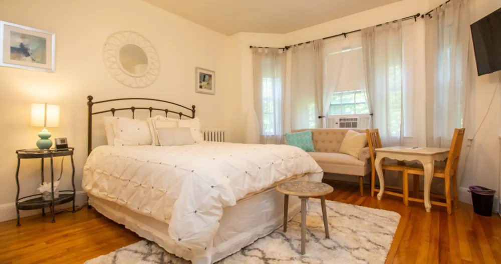Furnished First-Floor Studio in Coolidge Corner - Picture 1