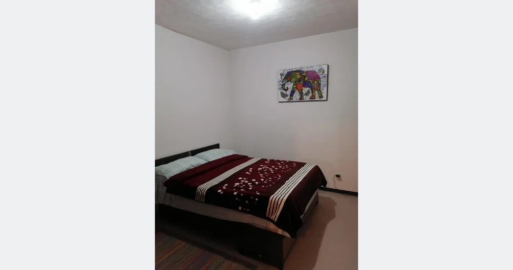  Chambre partagée avec une grande atmosphère et de bonnes vibrations - Photo 2