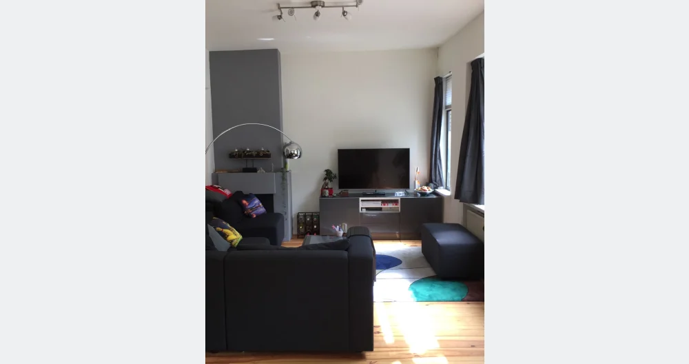 Cozy apartment with friendly host - Picture 1