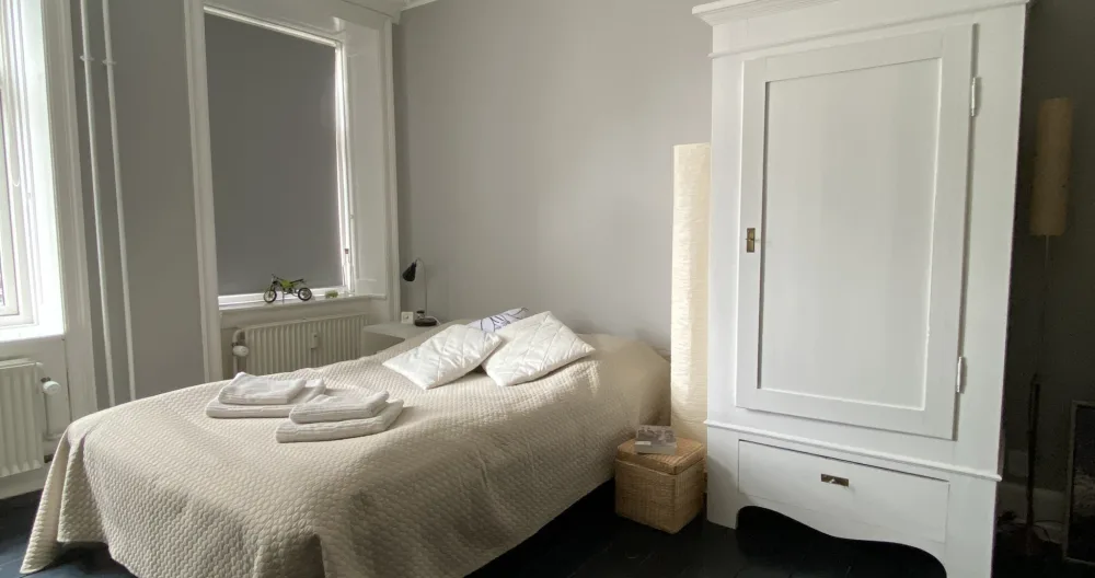 Most of Copenhagen at your doorstep - Picture 1
