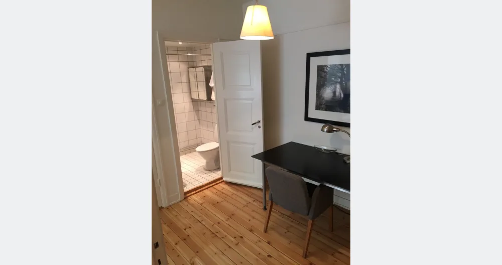 Great Junior 1 bedroom Apartment  - Picture 2