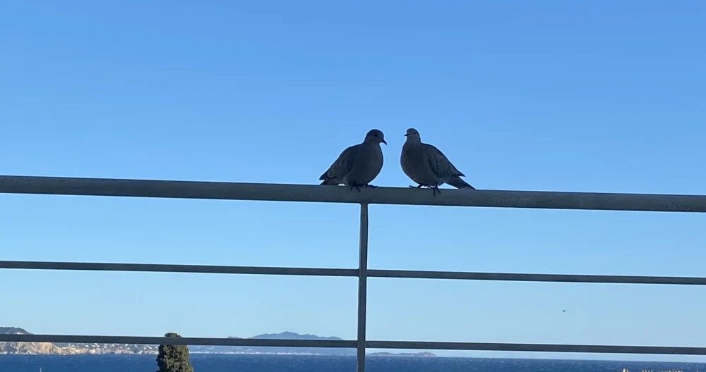 Camera in appartamento con vista sul mare - Foto 2