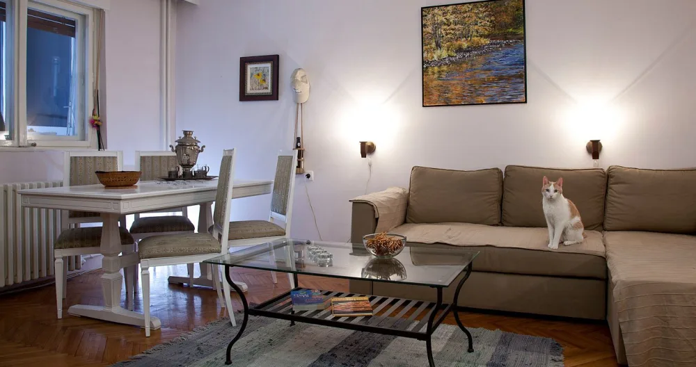 Anúncio de Djordje em misterb&b - h********_de9c5e27b6f53dcc99942f10a8686cc1dd65f51a